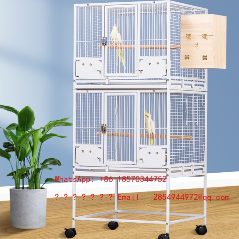 Bird Cage Parrot - 2026 Kandang Burung Besar untuk Merpati,