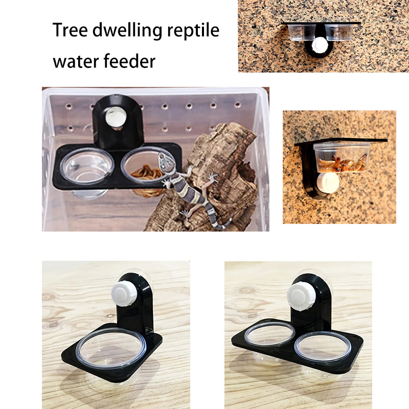 Pet Supplies Is Food - Aksesori tangki reptil sarang semut laba-laba