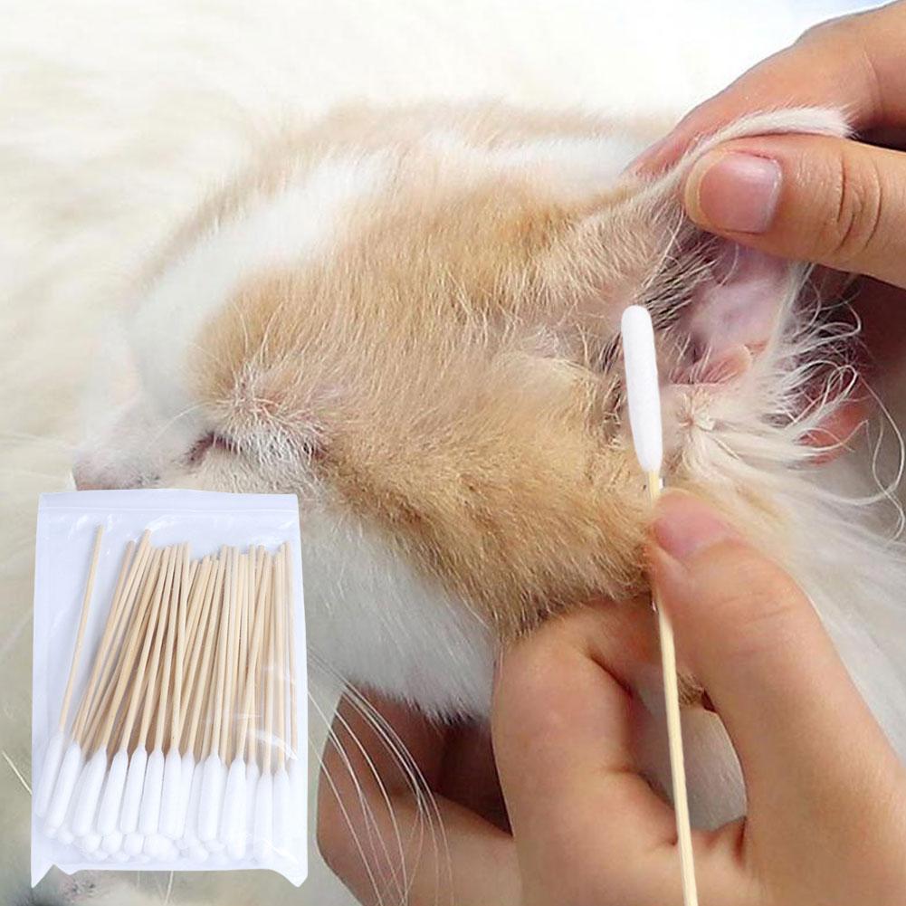 50/100 buah tongkat katun pemb - Pet Ear Cleaner ulasan dan harga