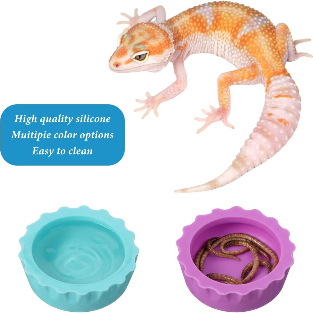 6 Buah Mangkuk Makanan Reptil  - Pet Supplies Is Food ulasan dan harga