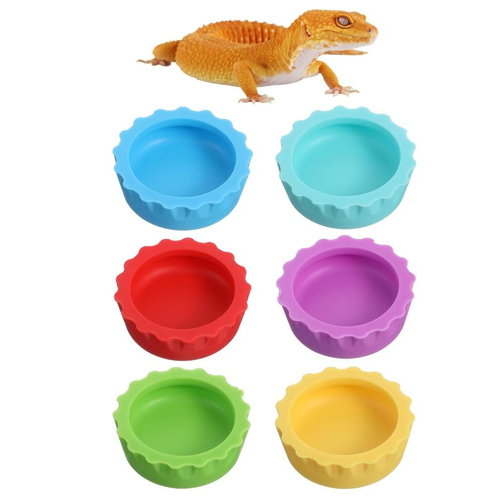 6 Buah Mangkuk Makanan Reptil  - Pet Supplies Is Food ulasan dan harga