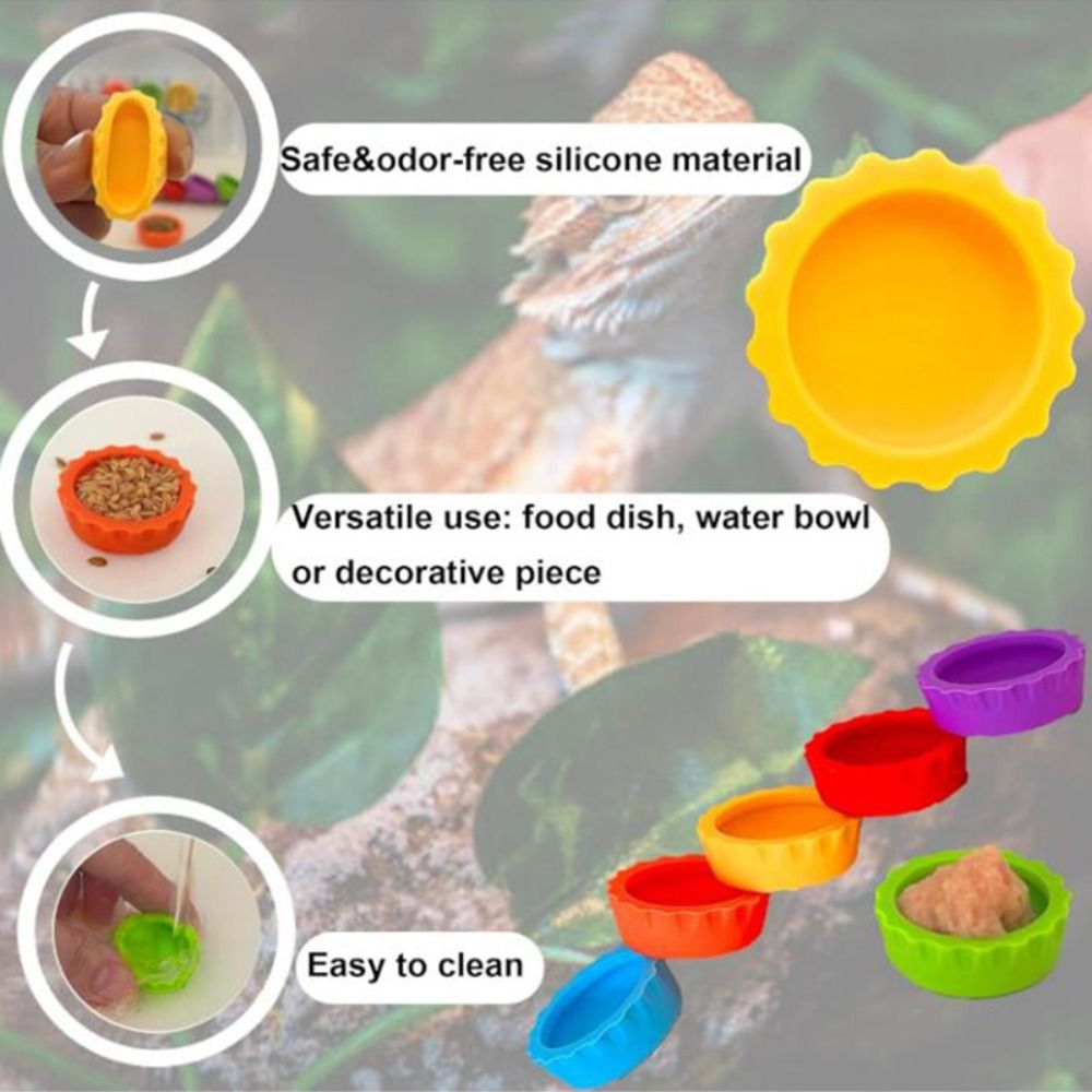6 Buah Mangkuk Makanan Reptil  - Pet Supplies Is Food ulasan dan harga