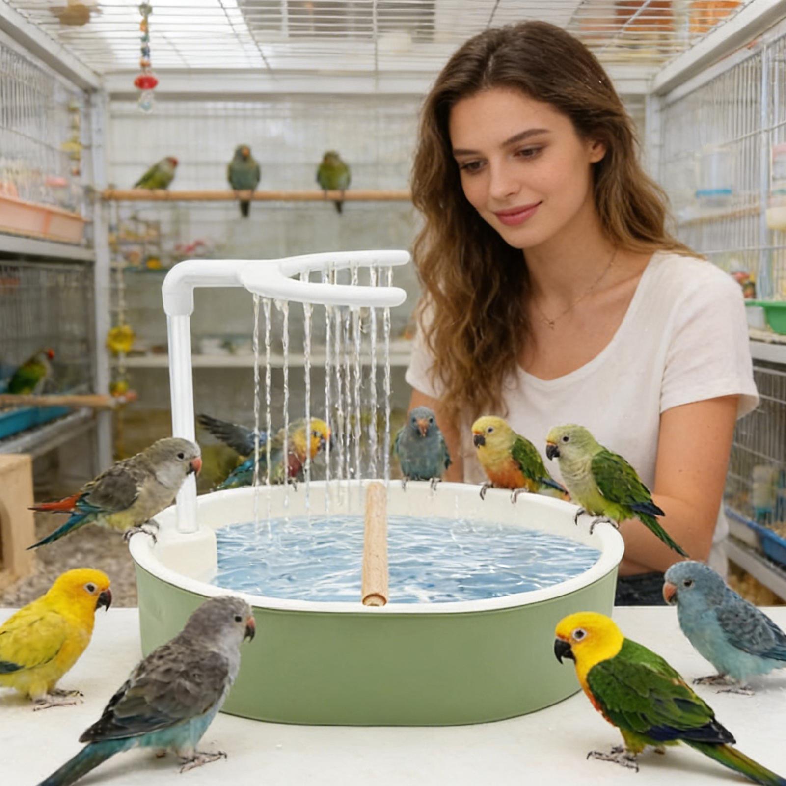 Bak Mandi Burung Otomatis Bert - Bird Cage Parrot ulasan dan harga