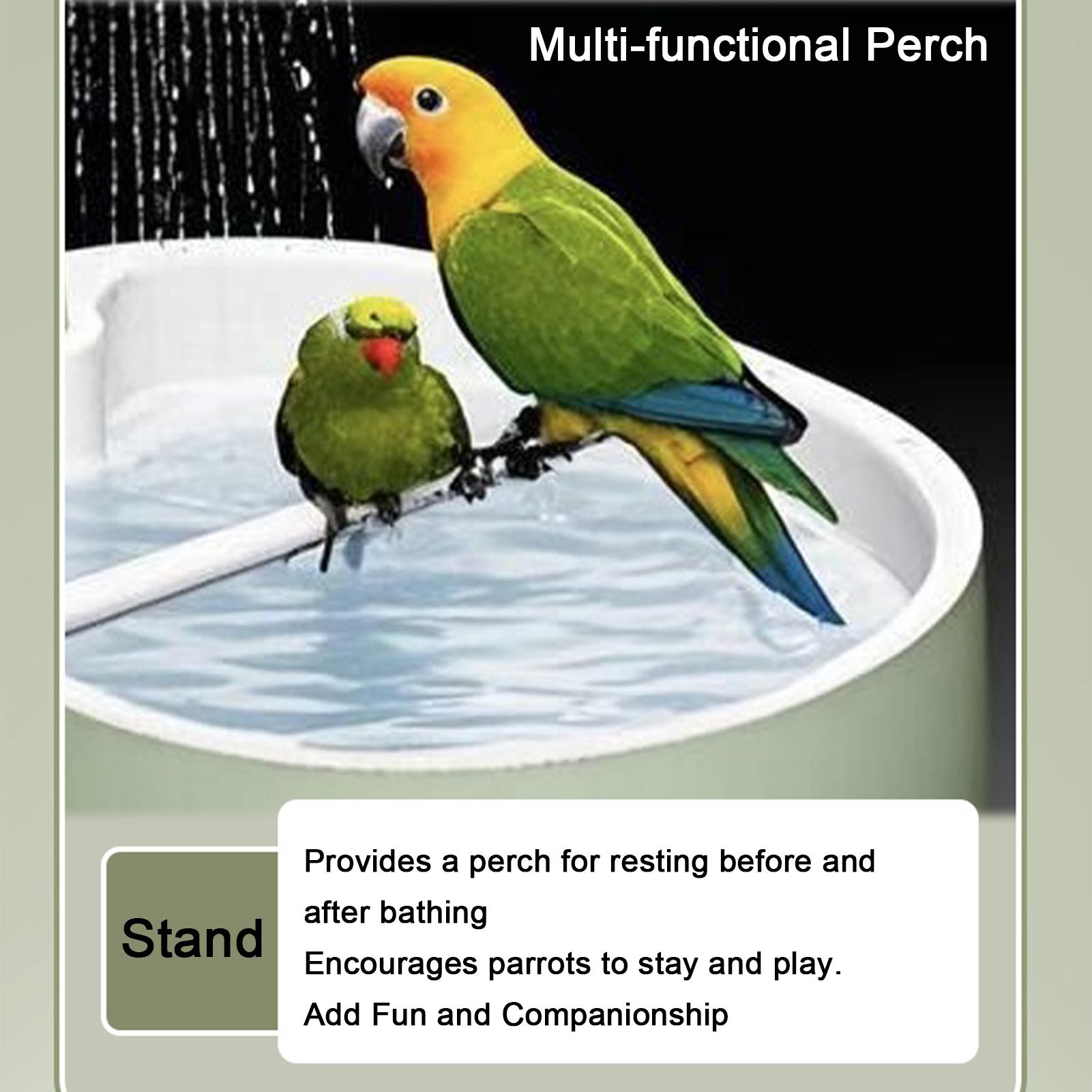 Bak Mandi Burung Otomatis Bert - Bird Cage Parrot ulasan dan harga