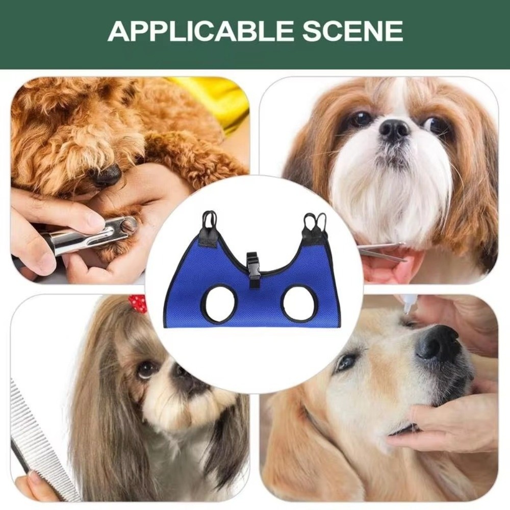 Hammock Grooming Hewan Pelihar - Dog Grooming Clippers ulasan dan harga