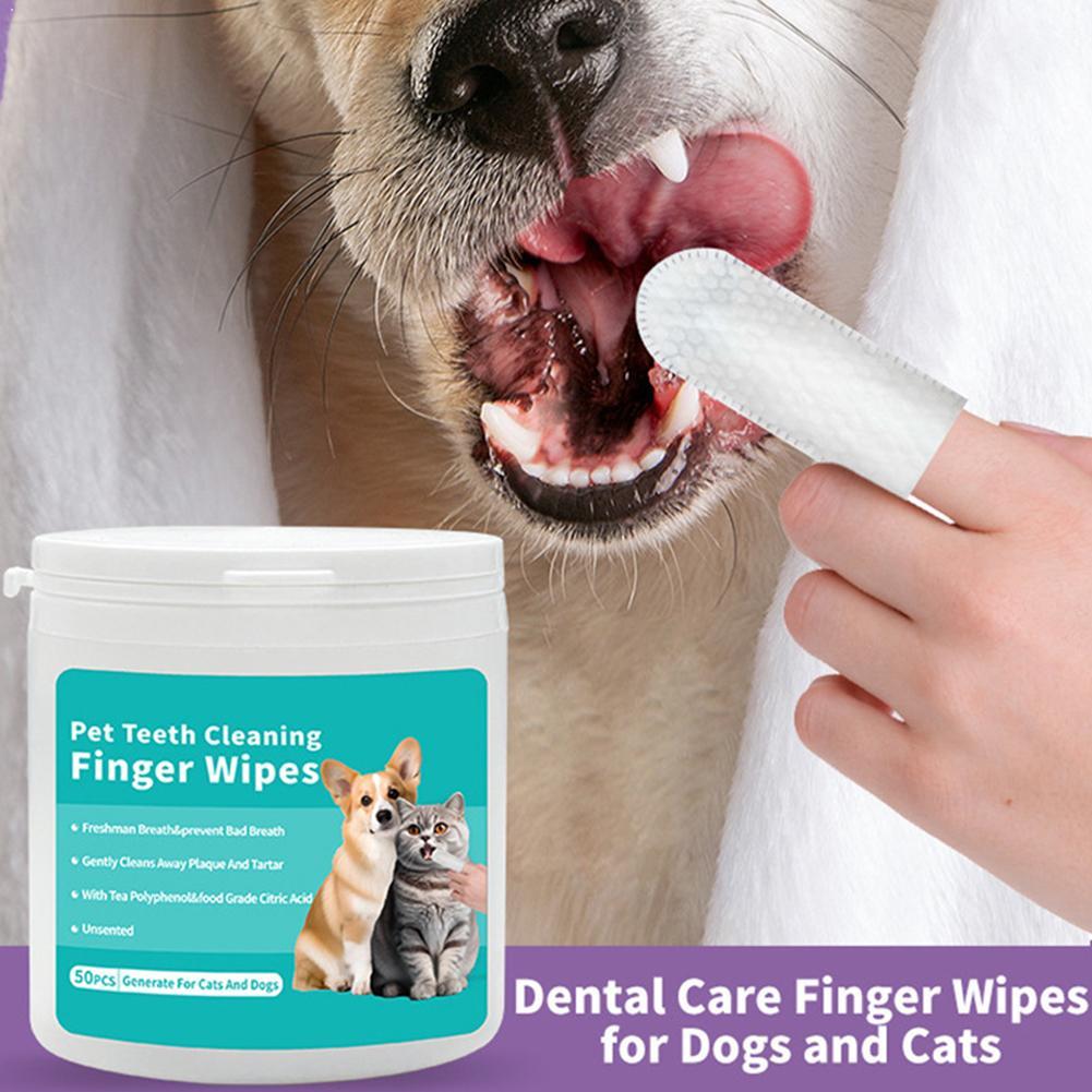 Tisu Pembersih Gigi Hewan Peli - Pet Ear Cleaner ulasan dan harga