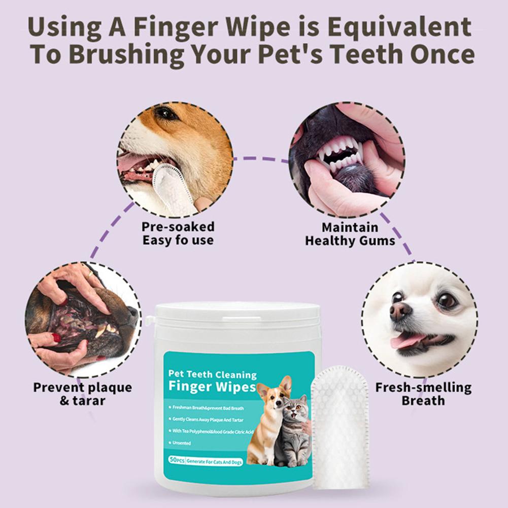 Tisu Pembersih Gigi Hewan Peli - Pet Ear Cleaner ulasan dan harga