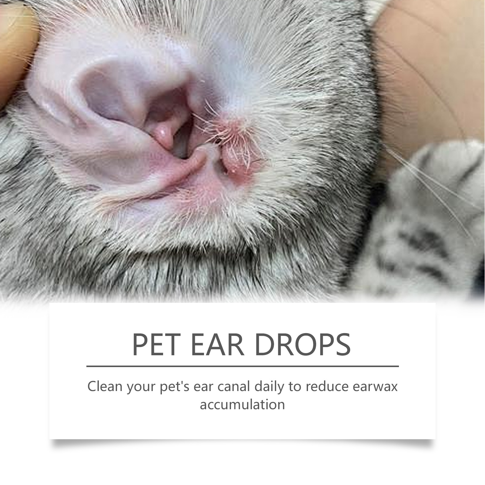 Pembersih Telinga Hewan Peliha - Pet Ear Cleaner ulasan dan harga