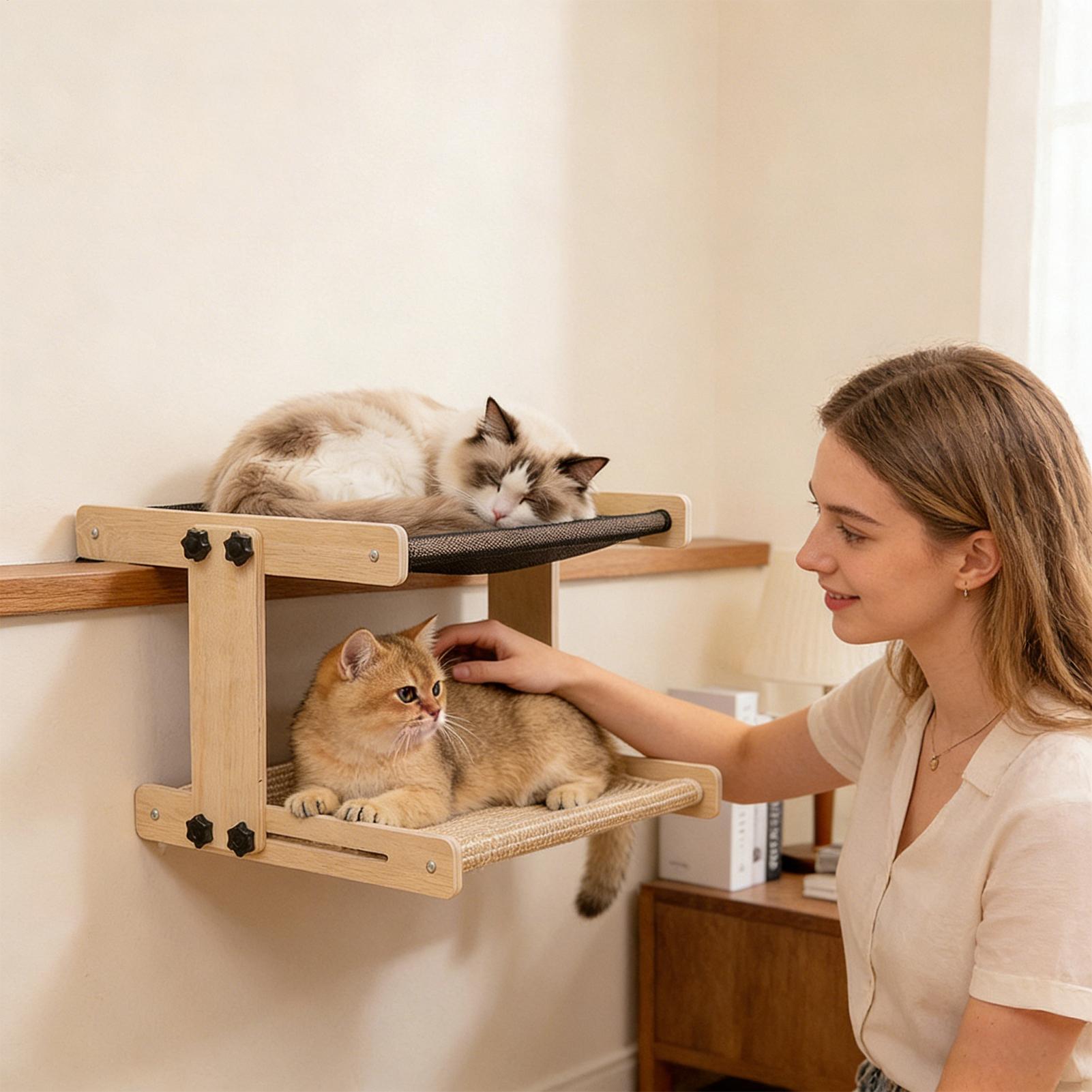 Tempat Tidur Kucing di Jendela - Cat Window Perch ulasan dan harga