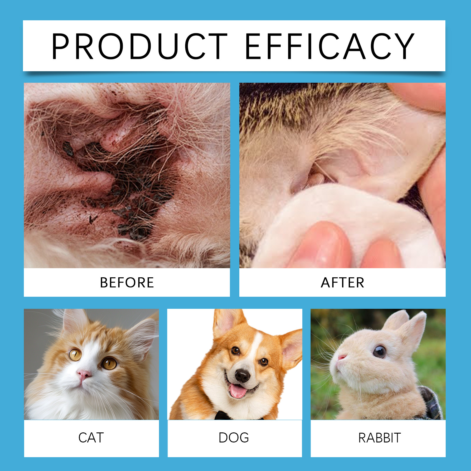 Pembersih Telinga Hewan Peliha - Pet Ear Cleaner ulasan dan harga