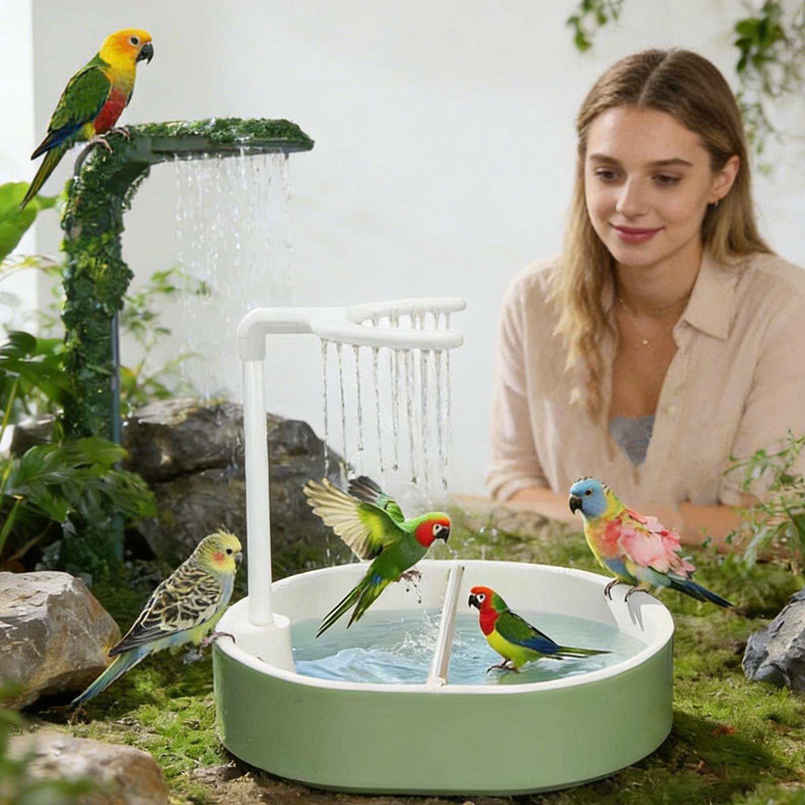 Bak Mandi Burung Otomatis Bert - Bird Cage Parrot ulasan dan harga