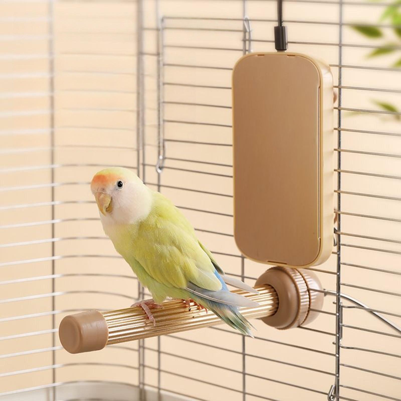 Pemanas Kandang Burung, Alas P - Bird Cage Parrot ulasan dan harga