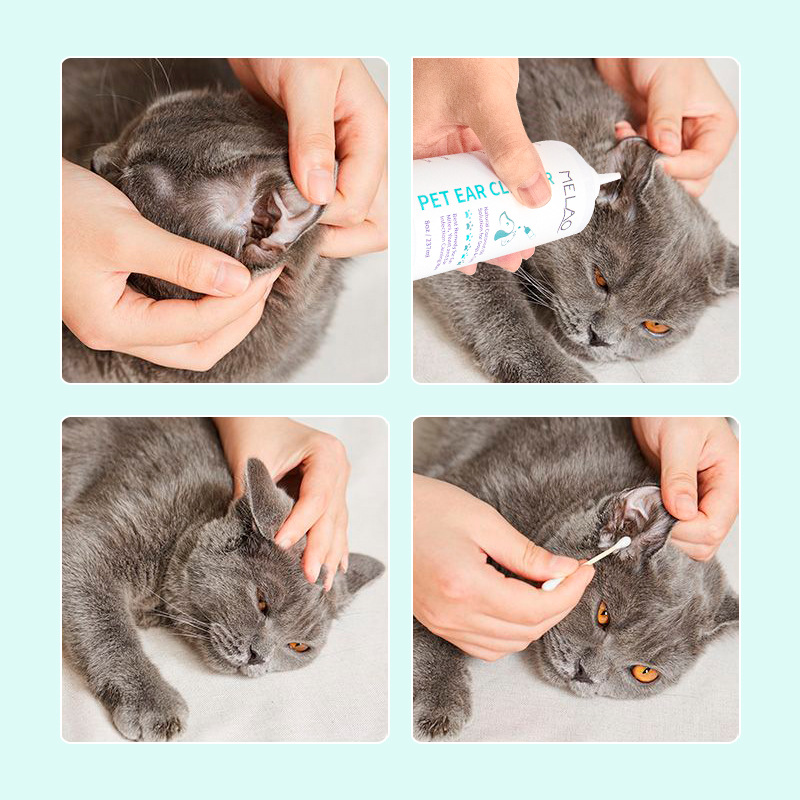 Pembersih Telinga Hewan Peliha - Pet Ear Cleaner ulasan dan harga