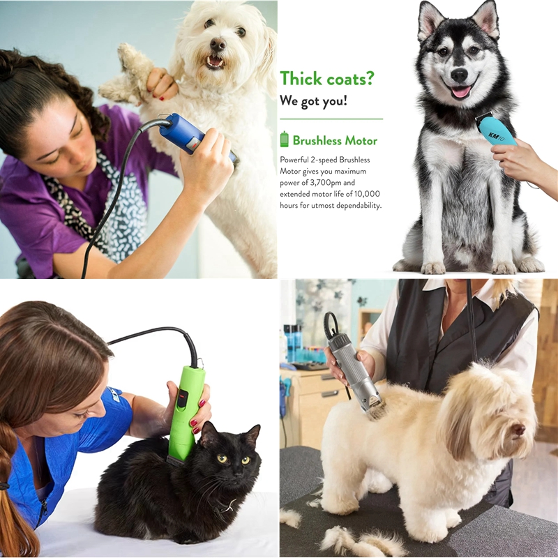 Pisau A5 cocok untuk Andis & O - Dog Grooming Clippers ulasan dan harga