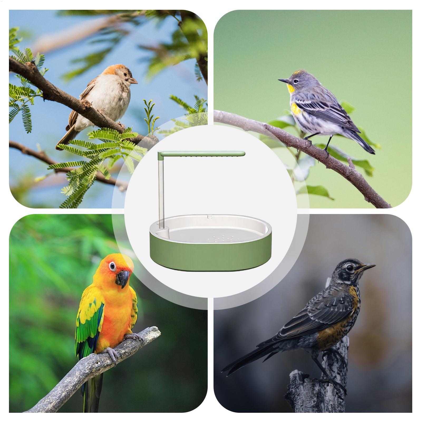 Tempat Mandi Burung Parrot, Wa - Bird Cage Parrot ulasan dan harga