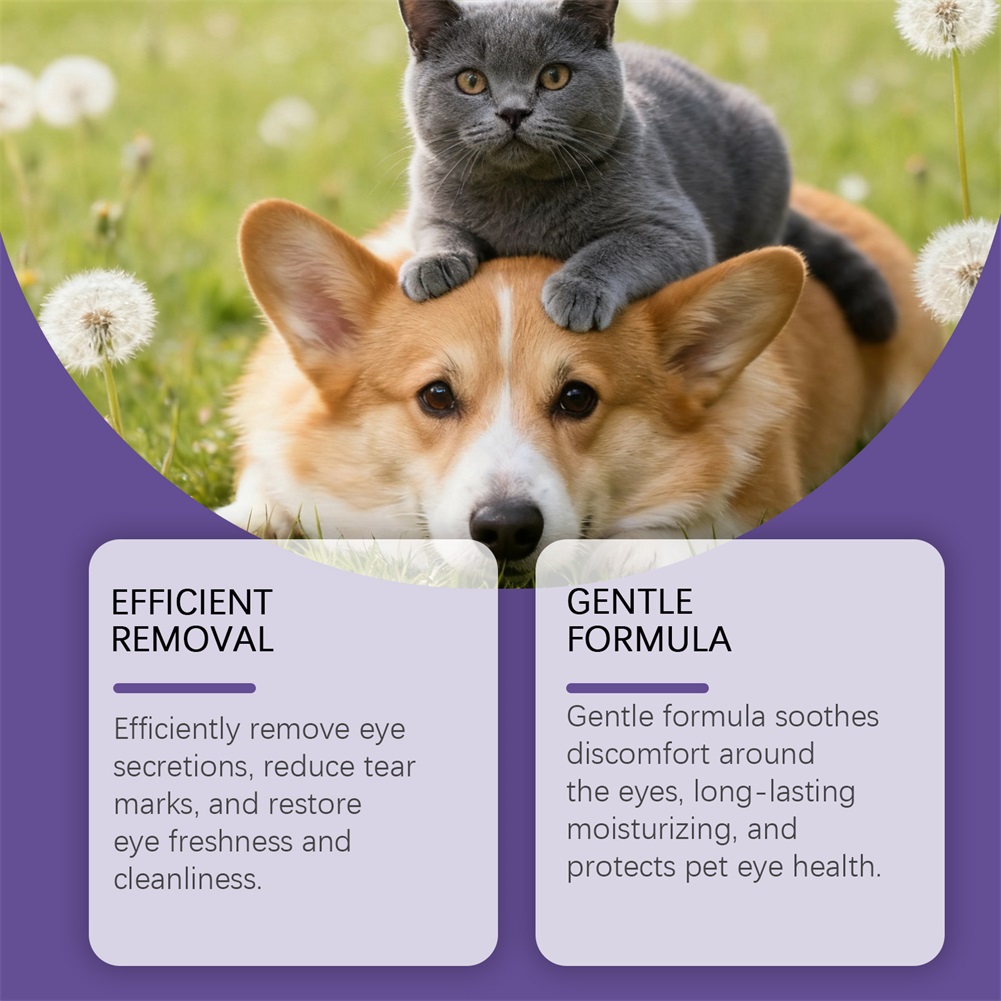 30ml Pet Eye Drops For Dogs Ca - Pet Ear Cleaner ulasan dan harga