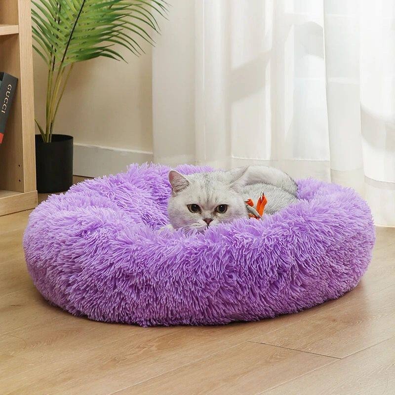 Tempat Tidur Anjing Kapas Part - Pet Supplies In Australia ulasan dan harga