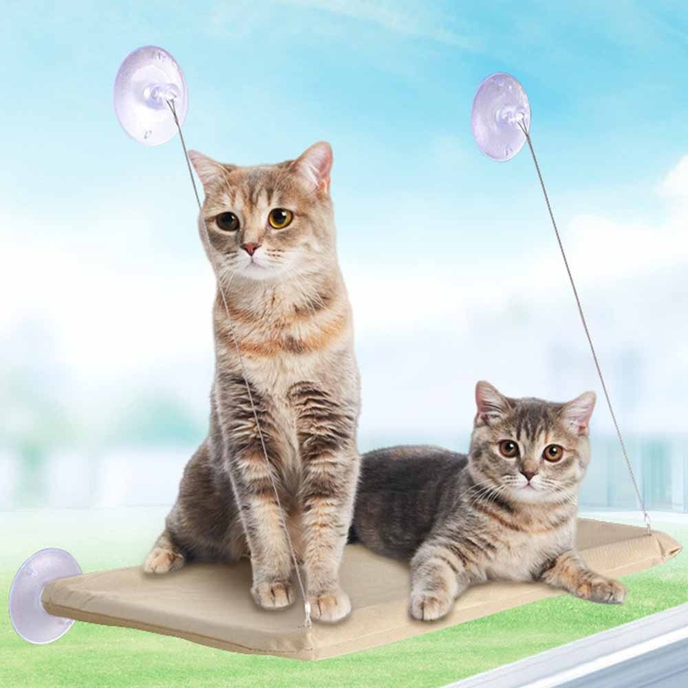 Tempat Tidur Kucing Gantung Kr - Cat Window Perch ulasan dan harga