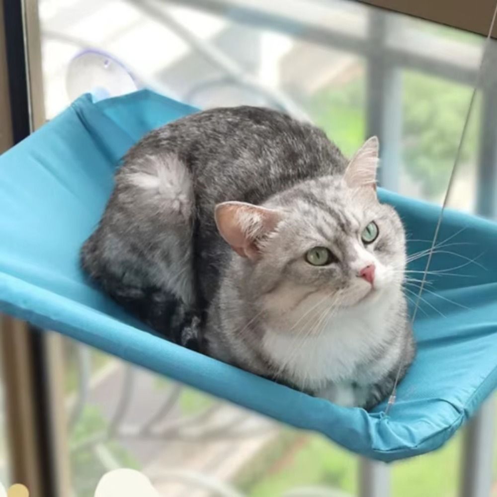Tempat Tidur Kucing Gantung Kr - Cat Window Perch ulasan dan harga