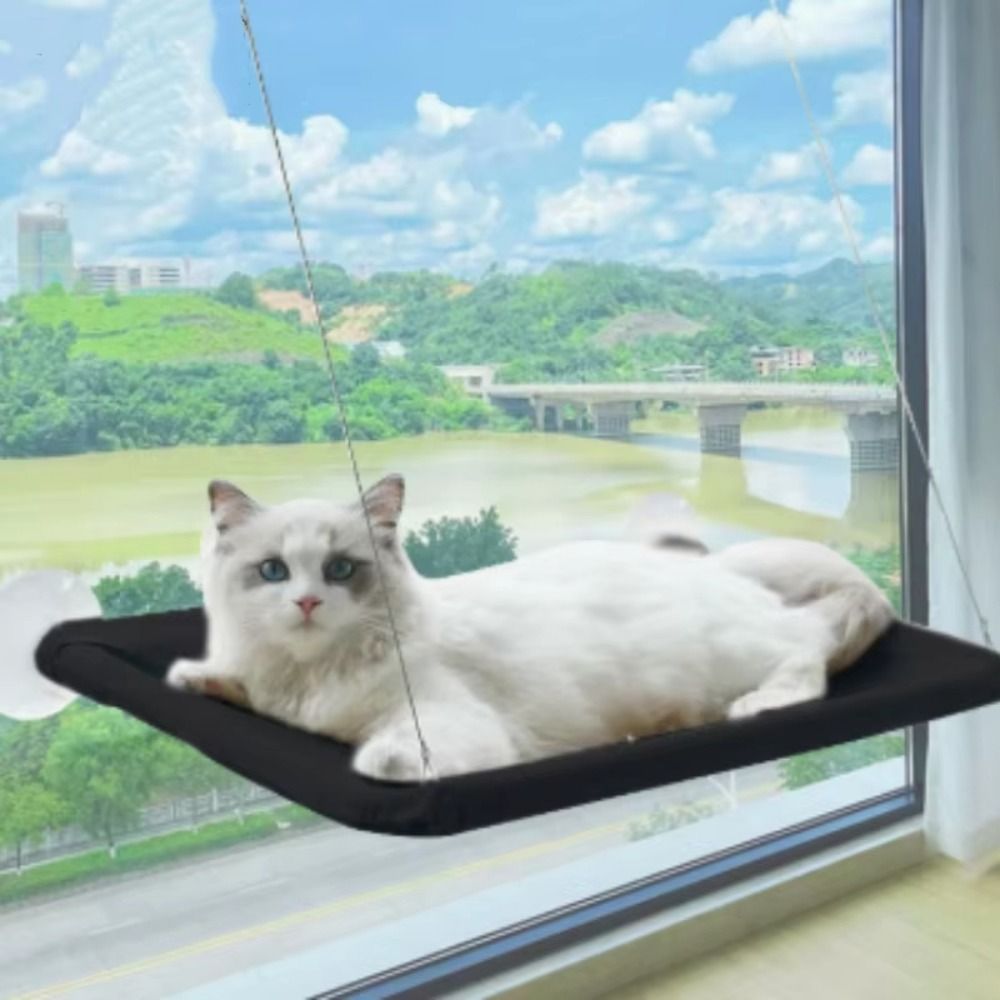 Tempat Tidur Kucing Gantung Kr - Cat Window Perch ulasan dan harga